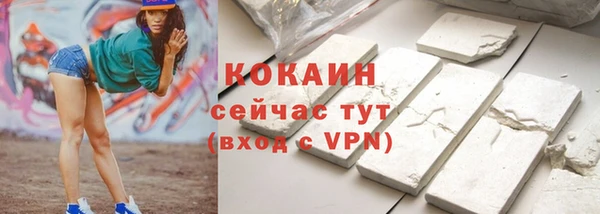 твердый Осташков