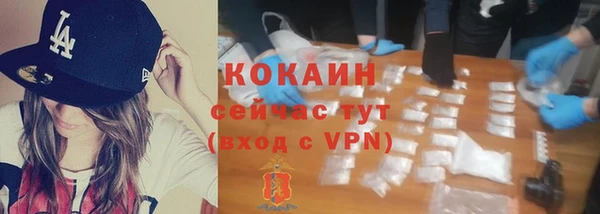 твердый Осташков