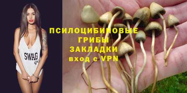 ГАЛЛЮЦИНОГЕННЫЕ ГРИБЫ Воткинск