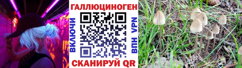 где купить наркоту  Партизанск  Псилоцибиновые грибы ЛСД 