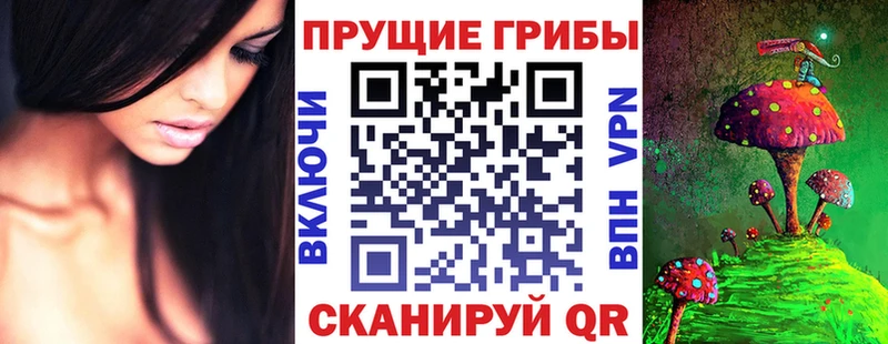 Псилоцибиновые грибы ЛСД Партизанск