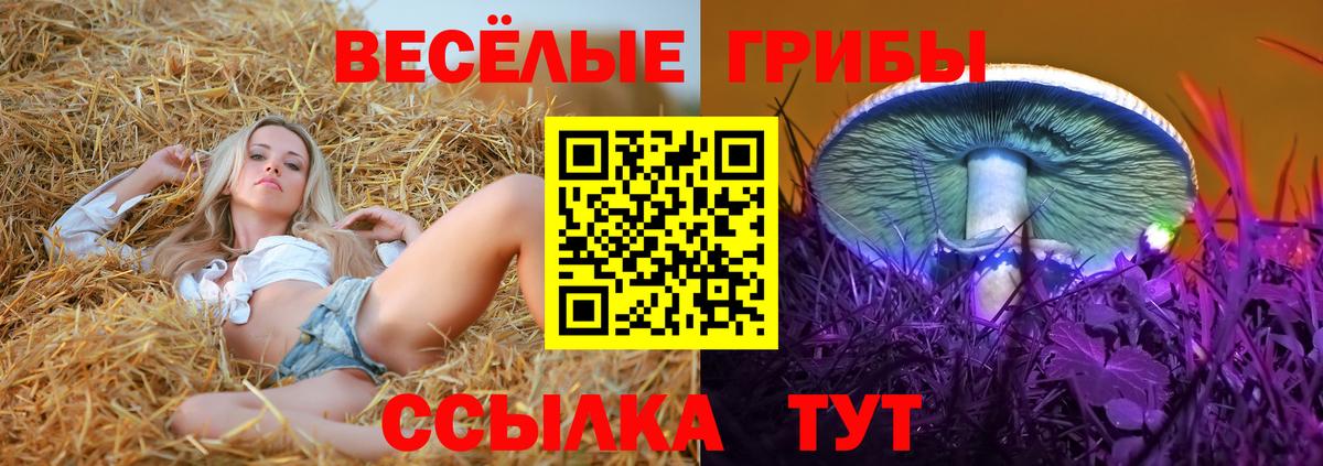 купить закладку  Вход с VPN  Партизанск  Псилоцибиновые грибы Magic Shrooms 